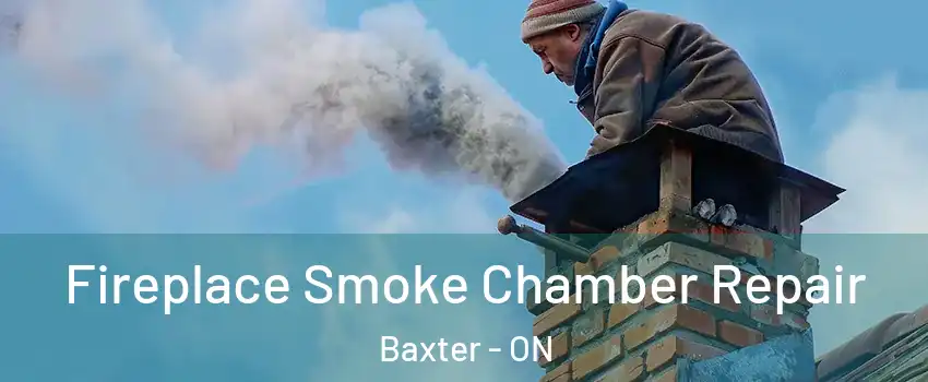  Fireplace Smoke Chamber Repair Baxter - ON