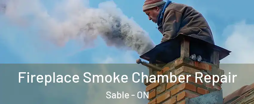  Fireplace Smoke Chamber Repair Sable - ON