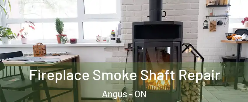  Fireplace Smoke Shaft Repair Angus - ON