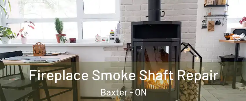  Fireplace Smoke Shaft Repair Baxter - ON