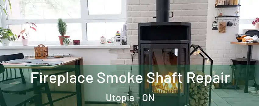  Fireplace Smoke Shaft Repair Utopia - ON