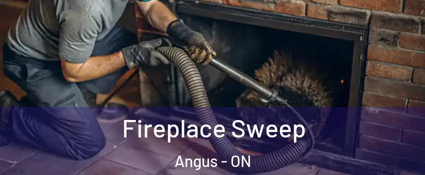  Fireplace Sweep Angus - ON