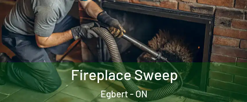  Fireplace Sweep Egbert - ON