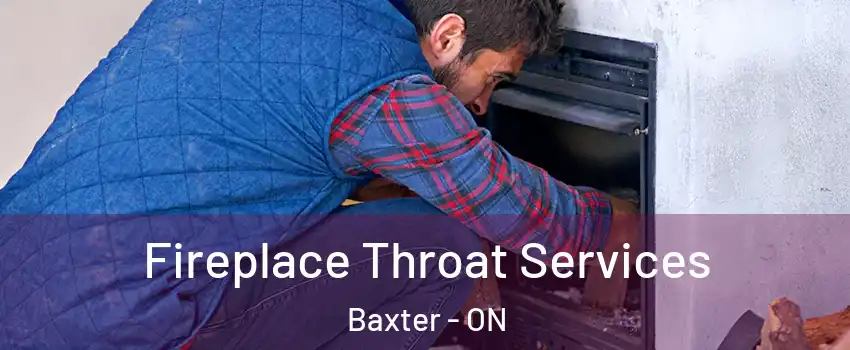  Fireplace Throat Services Baxter - ON