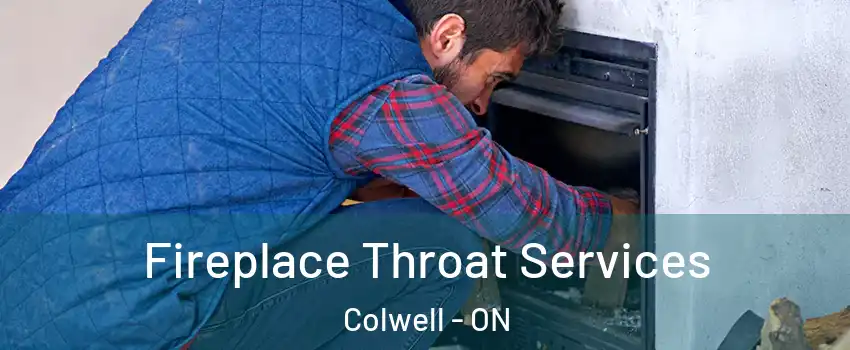  Fireplace Throat Services Colwell - ON
