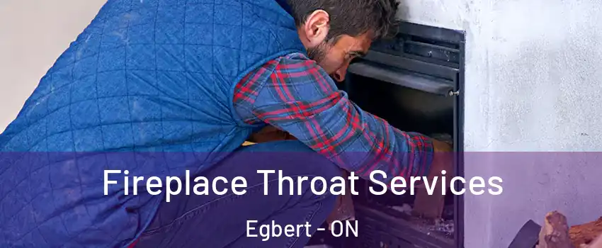  Fireplace Throat Services Egbert - ON