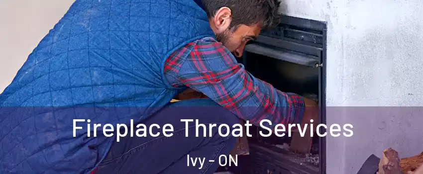  Fireplace Throat Services Ivy - ON