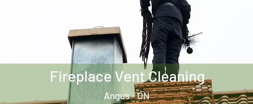  Fireplace Vent Cleaning Angus - ON