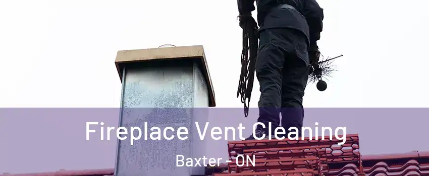  Fireplace Vent Cleaning Baxter - ON
