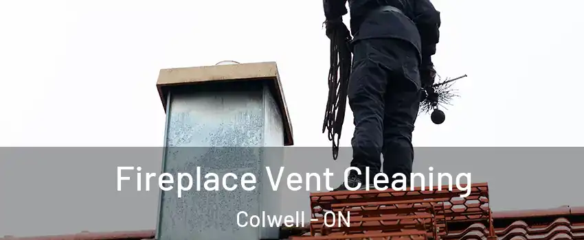  Fireplace Vent Cleaning Colwell - ON