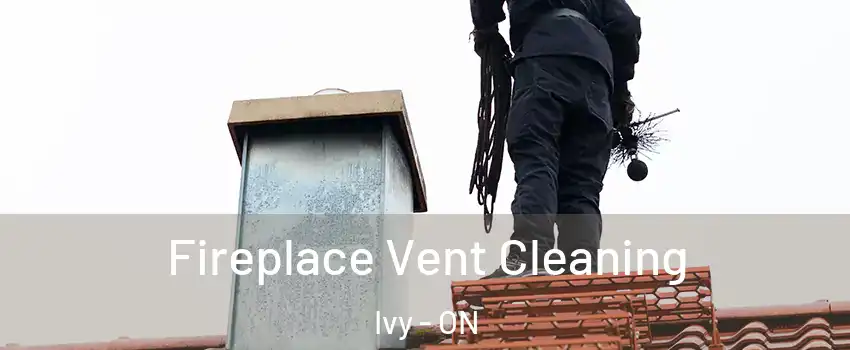  Fireplace Vent Cleaning Ivy - ON