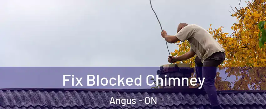  Fix Blocked Chimney Angus - ON