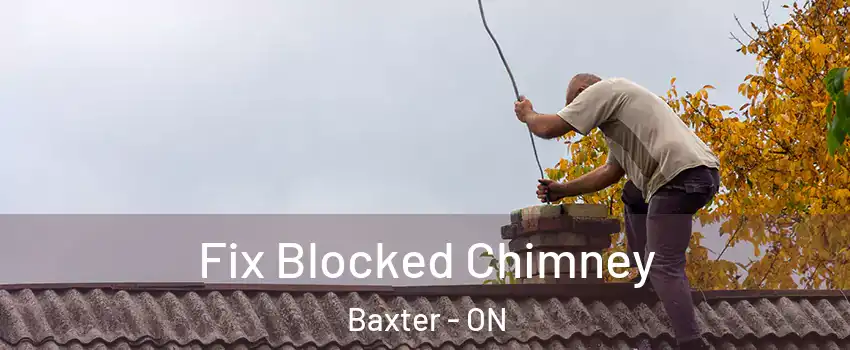  Fix Blocked Chimney Baxter - ON