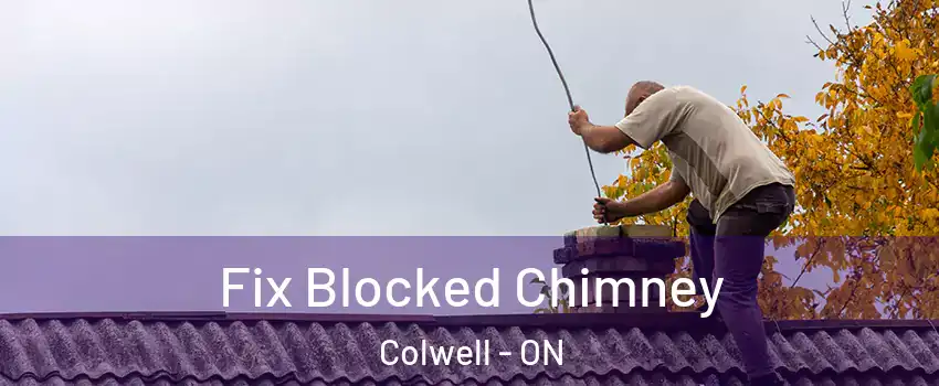  Fix Blocked Chimney Colwell - ON