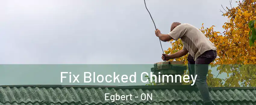  Fix Blocked Chimney Egbert - ON