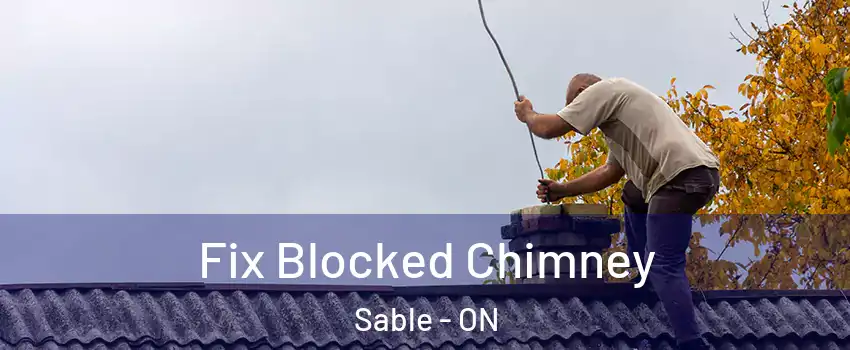  Fix Blocked Chimney Sable - ON