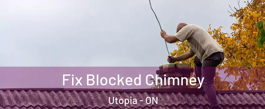  Fix Blocked Chimney Utopia - ON