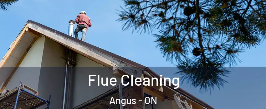  Flue Cleaning Angus - ON