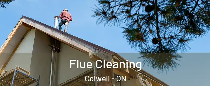  Flue Cleaning Colwell - ON