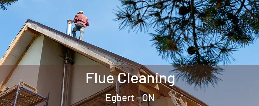  Flue Cleaning Egbert - ON