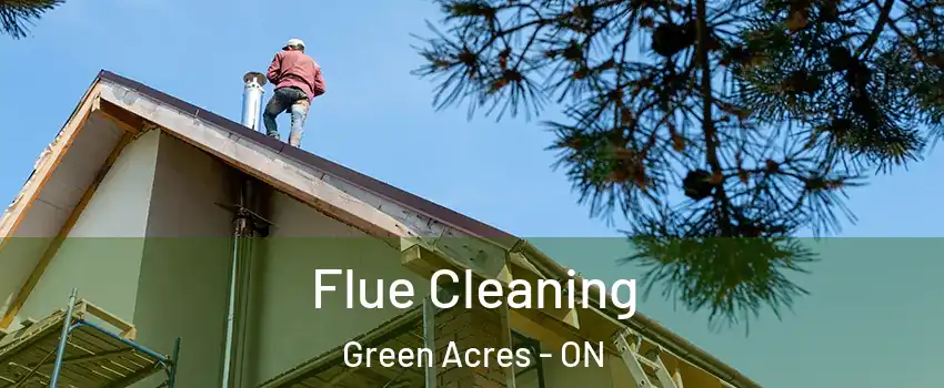  Flue Cleaning Green Acres - ON