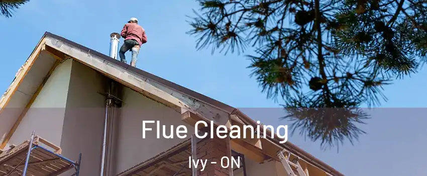  Flue Cleaning Ivy - ON