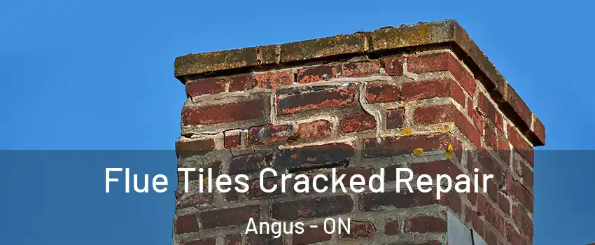  Flue Tiles Cracked Repair Angus - ON