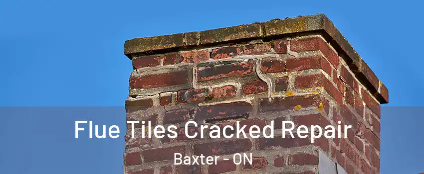  Flue Tiles Cracked Repair Baxter - ON