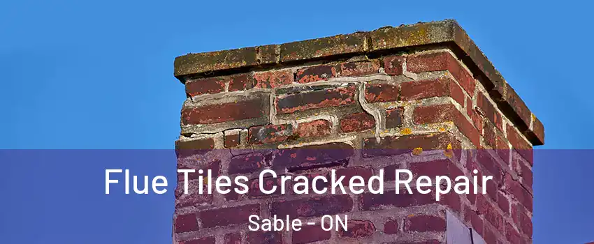  Flue Tiles Cracked Repair Sable - ON