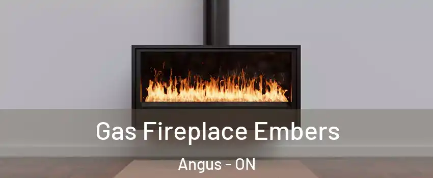  Gas Fireplace Embers Angus - ON