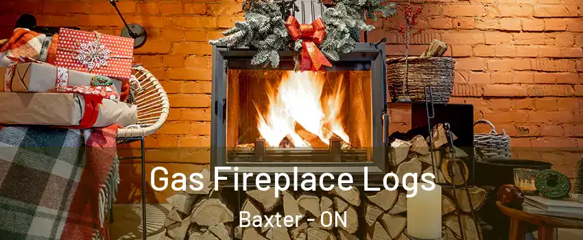  Gas Fireplace Logs Baxter - ON