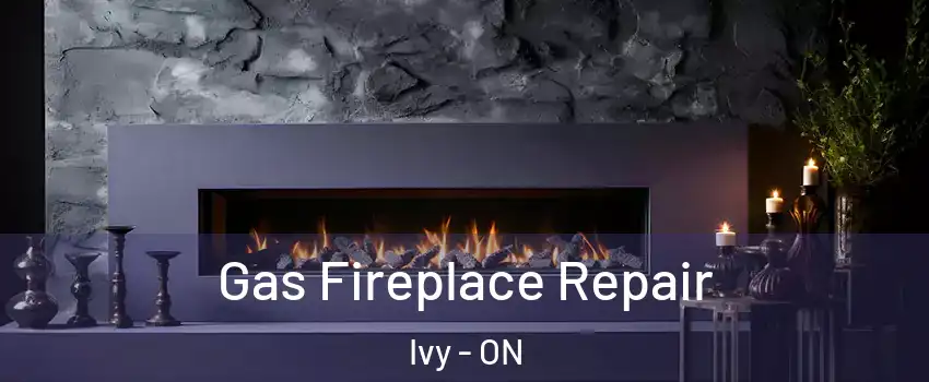  Gas Fireplace Repair Ivy - ON