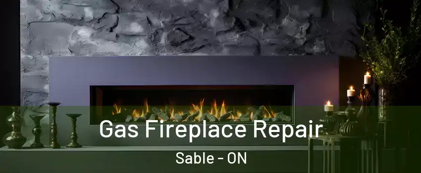  Gas Fireplace Repair Sable - ON