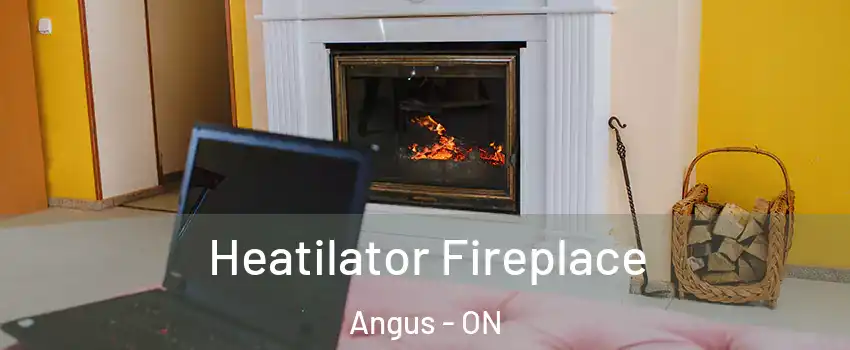  Heatilator Fireplace Angus - ON