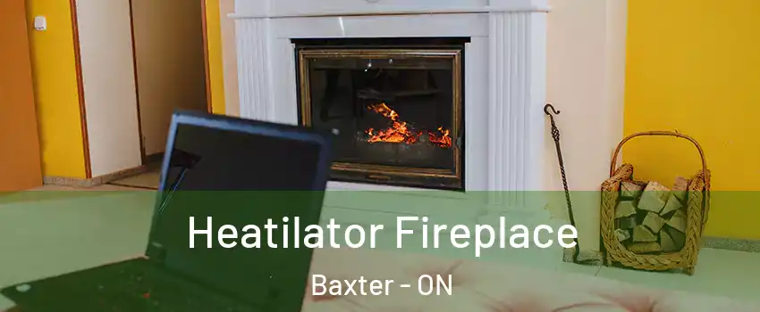  Heatilator Fireplace Baxter - ON
