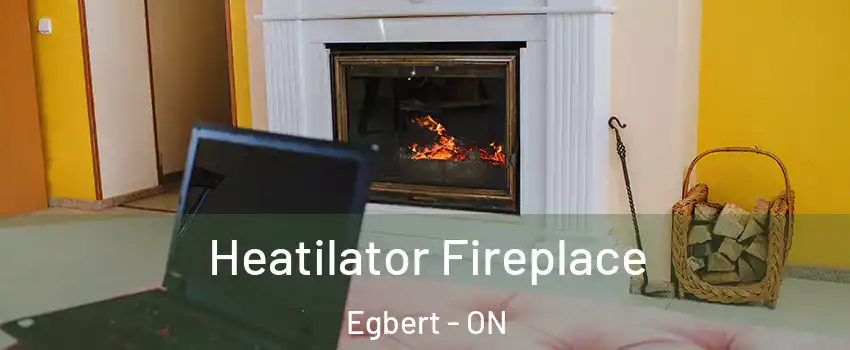  Heatilator Fireplace Egbert - ON