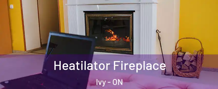  Heatilator Fireplace Ivy - ON