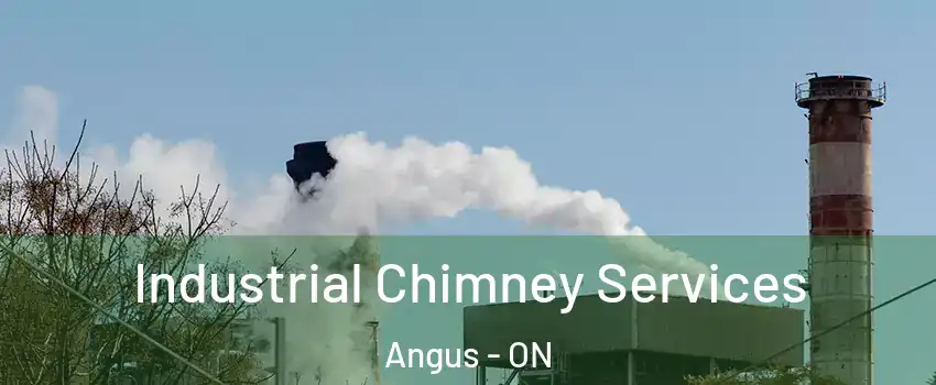  Industrial Chimney Services Angus - ON