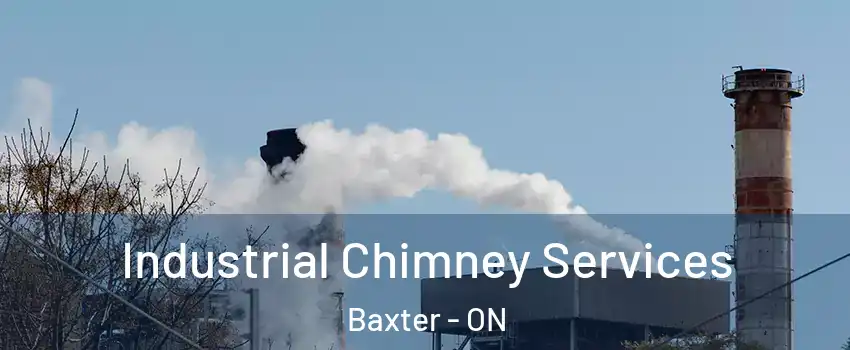  Industrial Chimney Services Baxter - ON