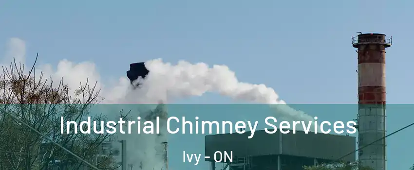  Industrial Chimney Services Ivy - ON