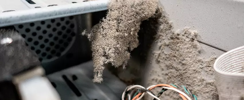 Clogged Dryer Vent Lint Cleaning in Essa, Ontario