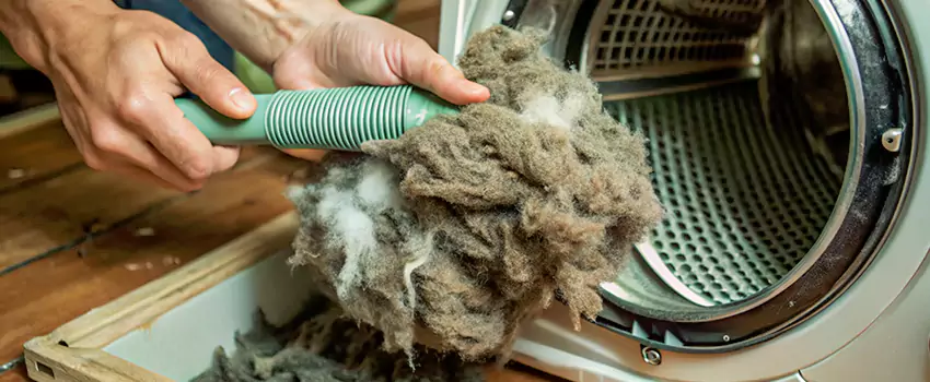 Best Dryer Lint Removal Company in Essa, Ontario