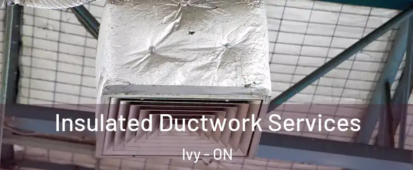  Insulated Ductwork Services Ivy - ON