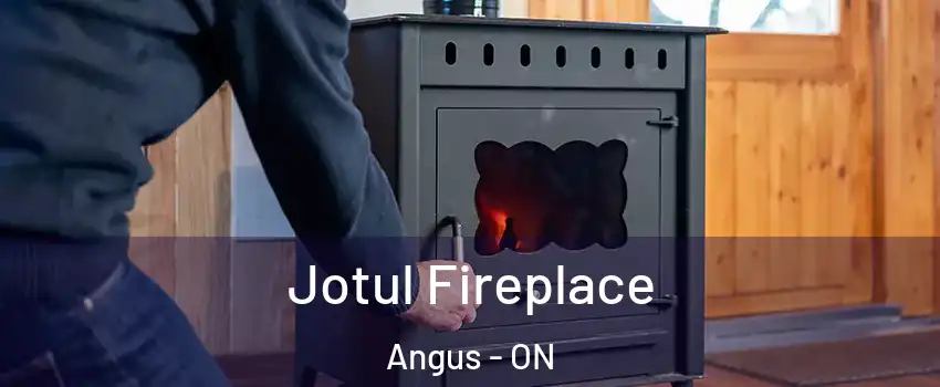  Jotul Fireplace Angus - ON