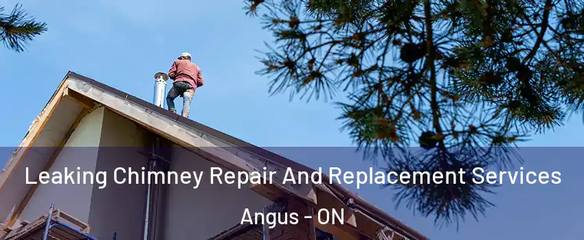  Leaking Chimney Repair And Replacement Services Angus - ON