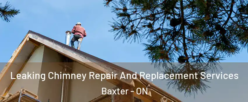  Leaking Chimney Repair And Replacement Services Baxter - ON