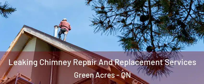 Leaking Chimney Repair And Replacement Services Green Acres - ON