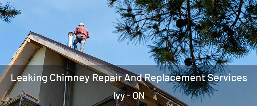  Leaking Chimney Repair And Replacement Services Ivy - ON
