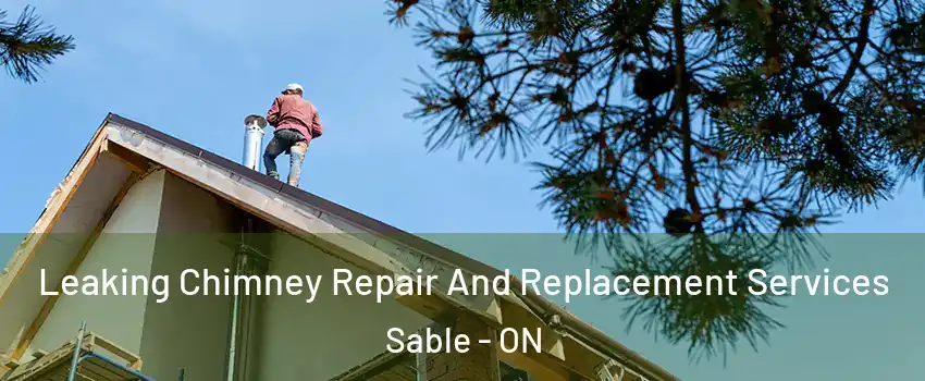  Leaking Chimney Repair And Replacement Services Sable - ON