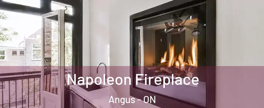  Napoleon Fireplace Angus - ON
